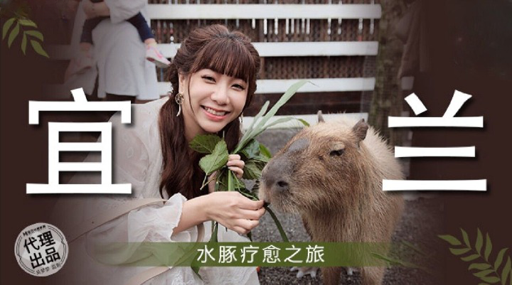 麻豆传媒 MM-078 宜兰水豚疗愈之旅-吴梦梦
